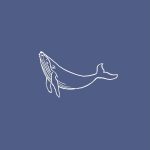 Whale snail mail club