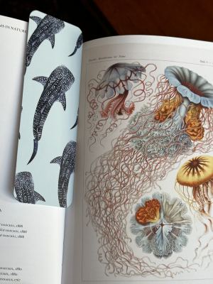 Whale Shark Bookmark | Wildlife Stationery