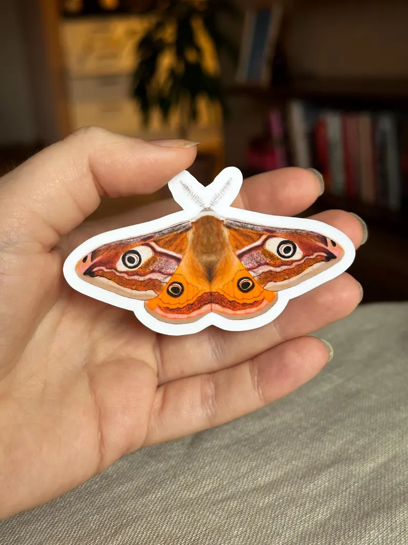 Insect Sticker Set | Illustrated Bug Stickers - Image 3