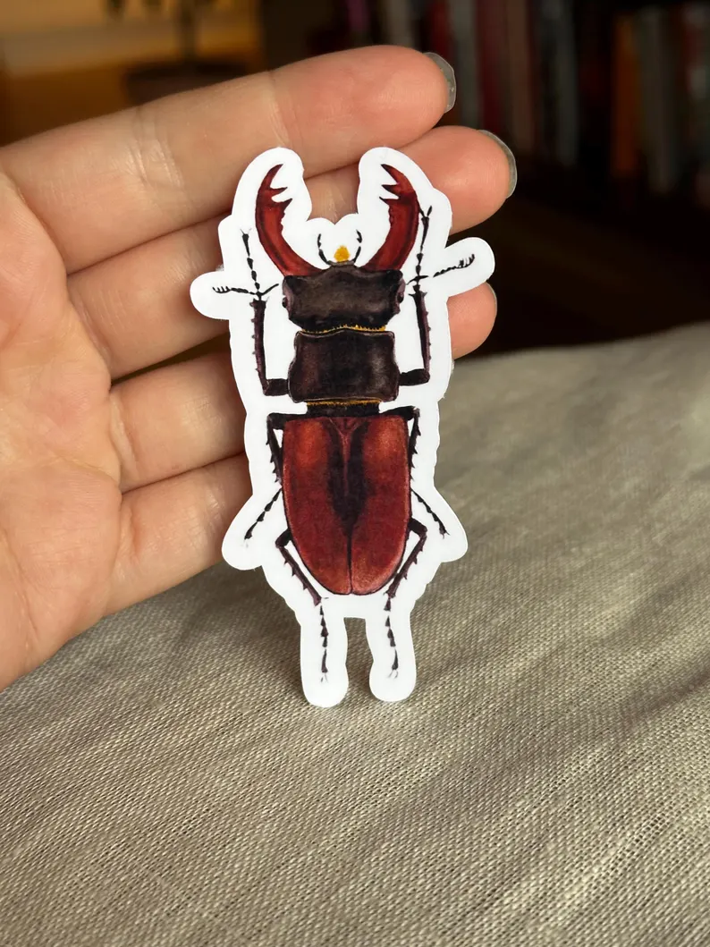 Insect Sticker Set | Illustrated Bug Stickers - Image 4