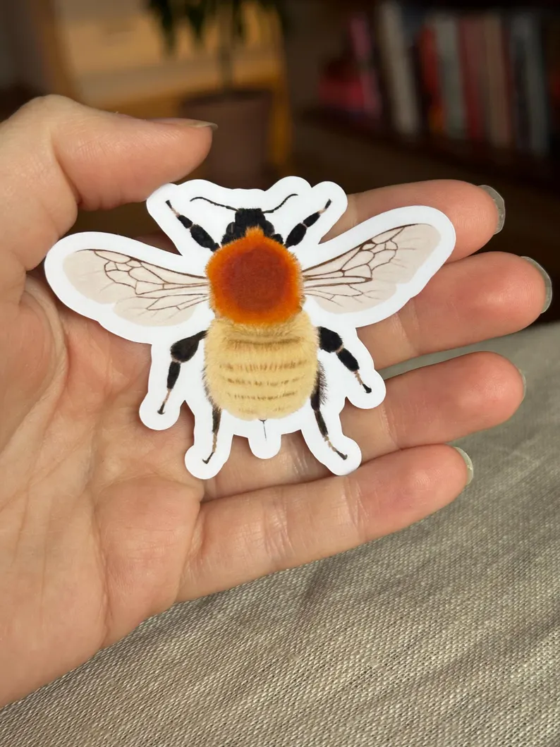 Insect Sticker Set | Illustrated Bug Stickers - Image 5