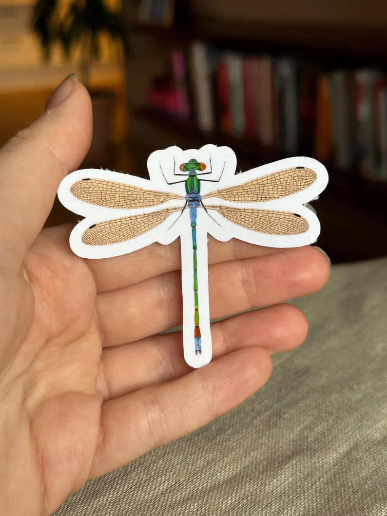 Insect Sticker Set | Illustrated Bug Stickers - Image 6