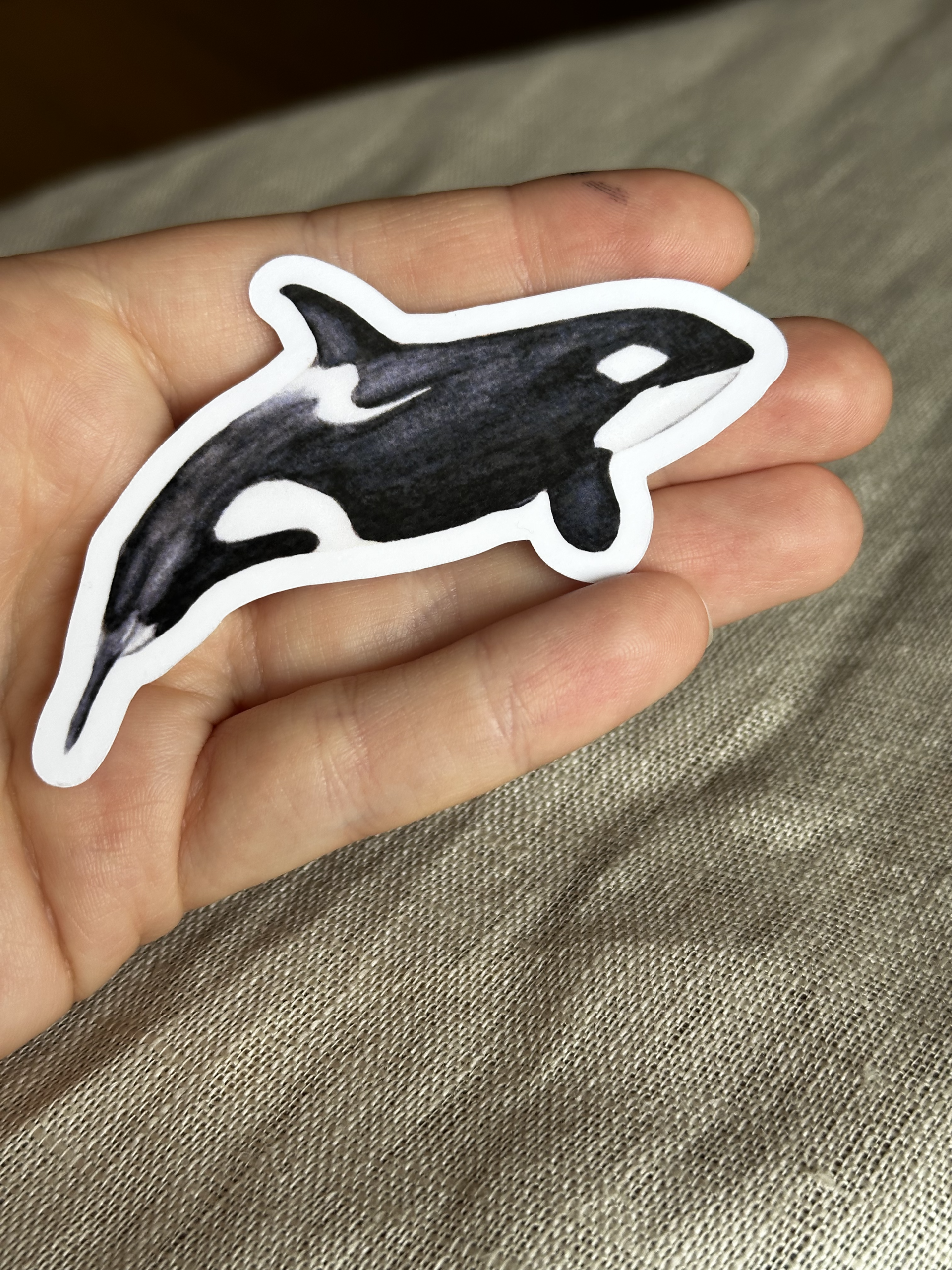 Ocean Animal Vinyl Sticker Set | Marine Life Stickers - Image 3