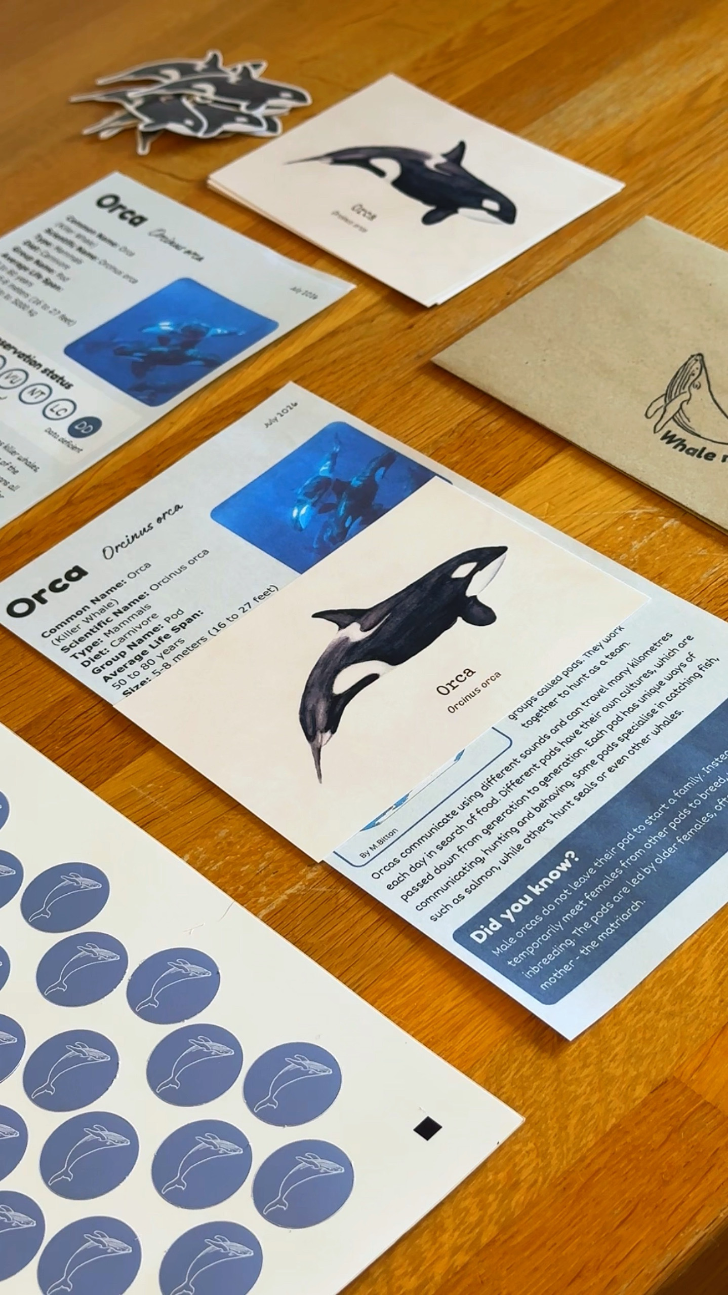 Whale Mail | Marine Biology Mail Club - Image 6