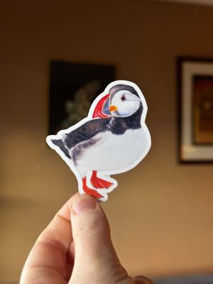 Puffin Vinyl Sticker | Artctic bird Sticker